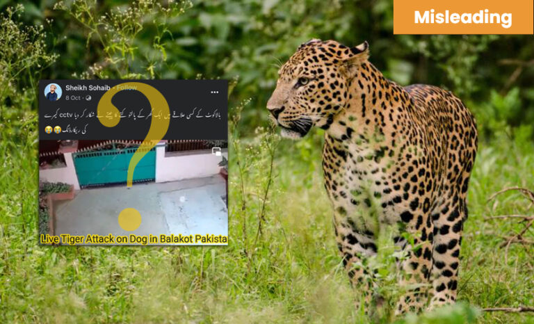 Leopard attack video is from Nepal, not Pakistan