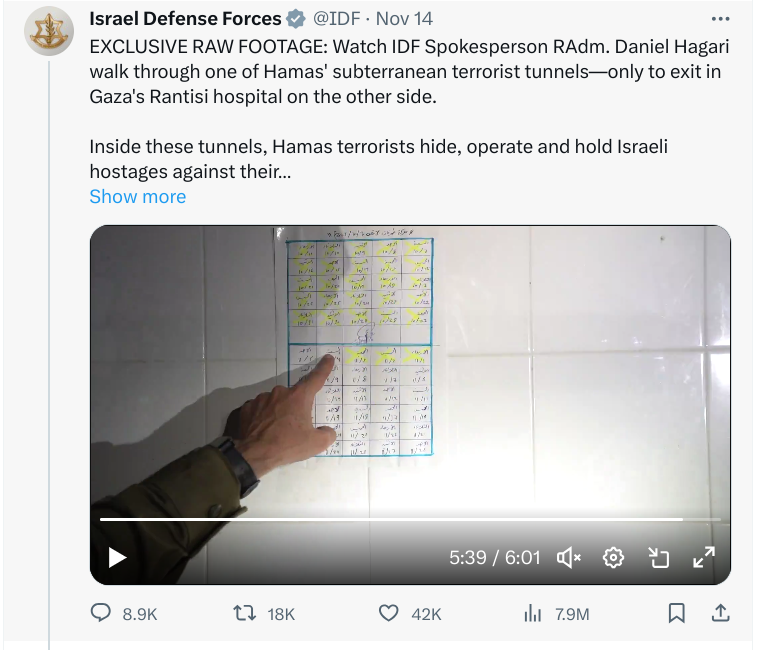 Calendar from AlRantisi Hospital shared as hostage guardian list